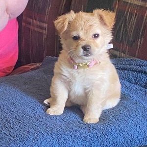 Meet your Posher, Peggy